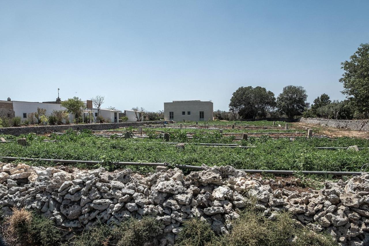 Masseria Berzario ميليندونيو المظهر الخارجي الصورة